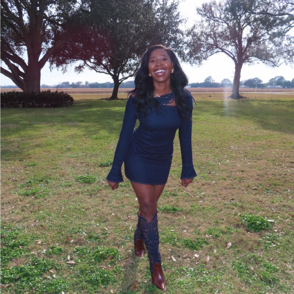 Meshki CeCe Denim dress